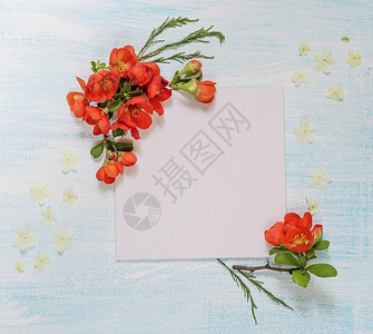 婚礼或家庭相册的剪布页带有红色沙内美雅波尼卡花和浅木背景绿叶的框架顶视平躺俯背景图片