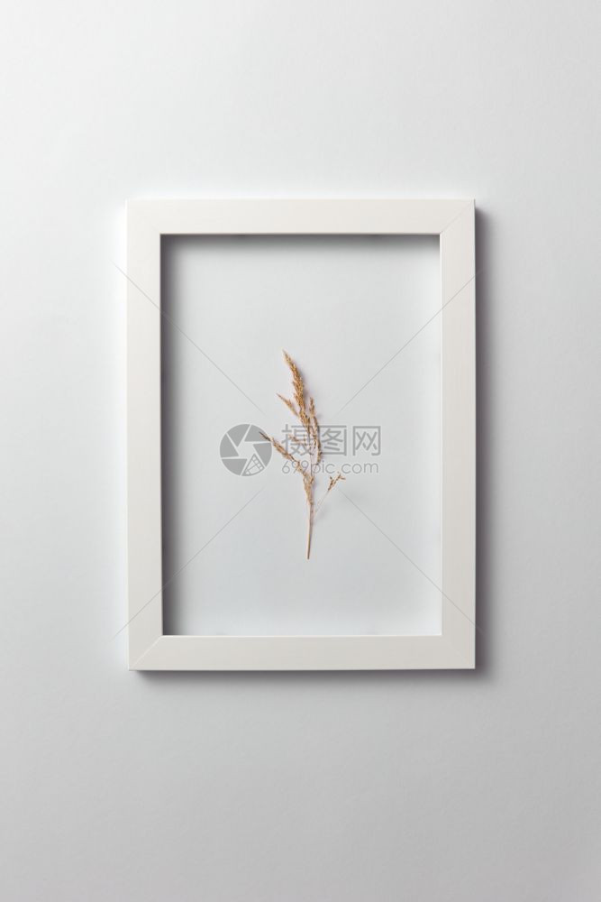 在浅灰色背景的矩形框中以天然植物种子头的创造成分组贺卡文字位置平地在光背景的矩形框中花朵干氟化作用图片