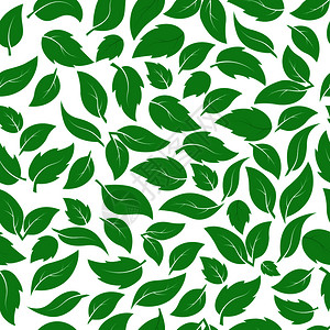绿色色树叶不同植物的绿叶无缝模式纺织品包装纸张印刷简单背景和质地的理想插画
