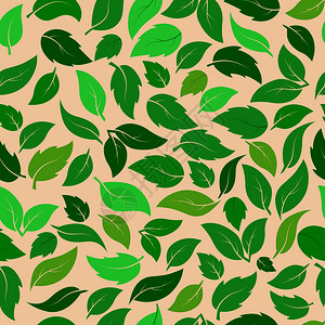 不同植物的绿叶无缝模式纺织品包装纸张印刷简单背景和质地的理想背景图片