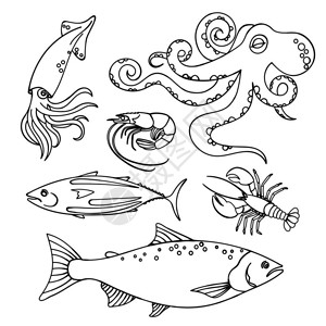 烧鱿鱼海产食品健康营养病媒插图集插画