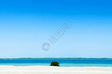 科尼奇白沙滩蓝海有绿树林背景