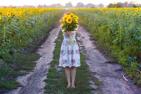 巨大的花束女孩手里握着一束巨大的向日葵花束背景
