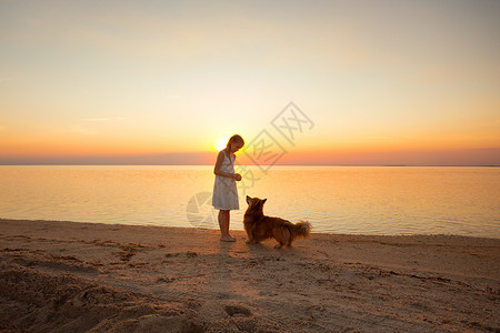 小女孩在日落时正带着一条狗在海边行走高清图片