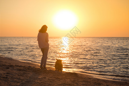 帕基里海滩和海边的一条狗在起女孩阿佐夫海的乌拉尼群岛风景背景