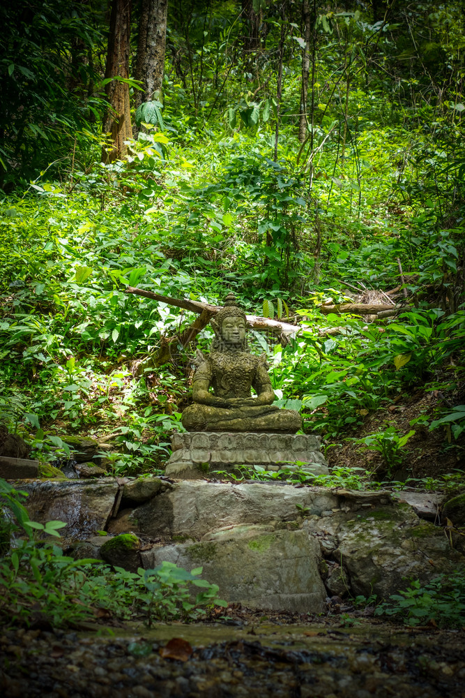 泰国清迈寺丛林中的禅宗佛像丛林中的佛像watpalad泰国清迈图片