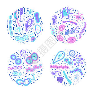 半蓝藻细菌矢量图插画