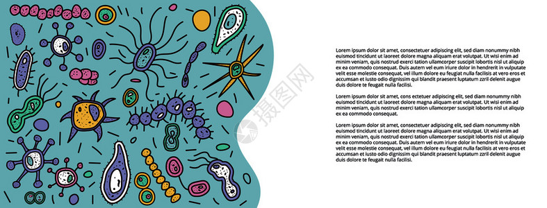 微晶换肤带有不同微晶体细胞的横向线卡片小册子社交媒体模板一系列细菌形状矢量涂鸦样式构成插画