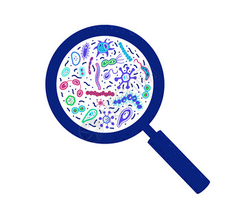 半蓝藻细菌矢量图插画