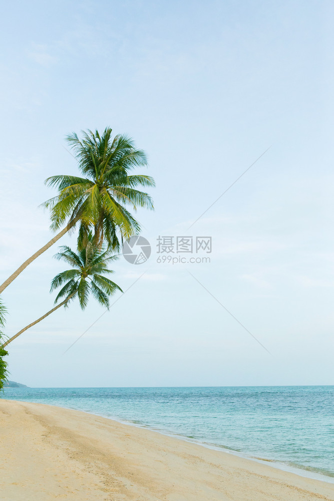 带椰子棕榈树的美丽海滩假日和期概念图片