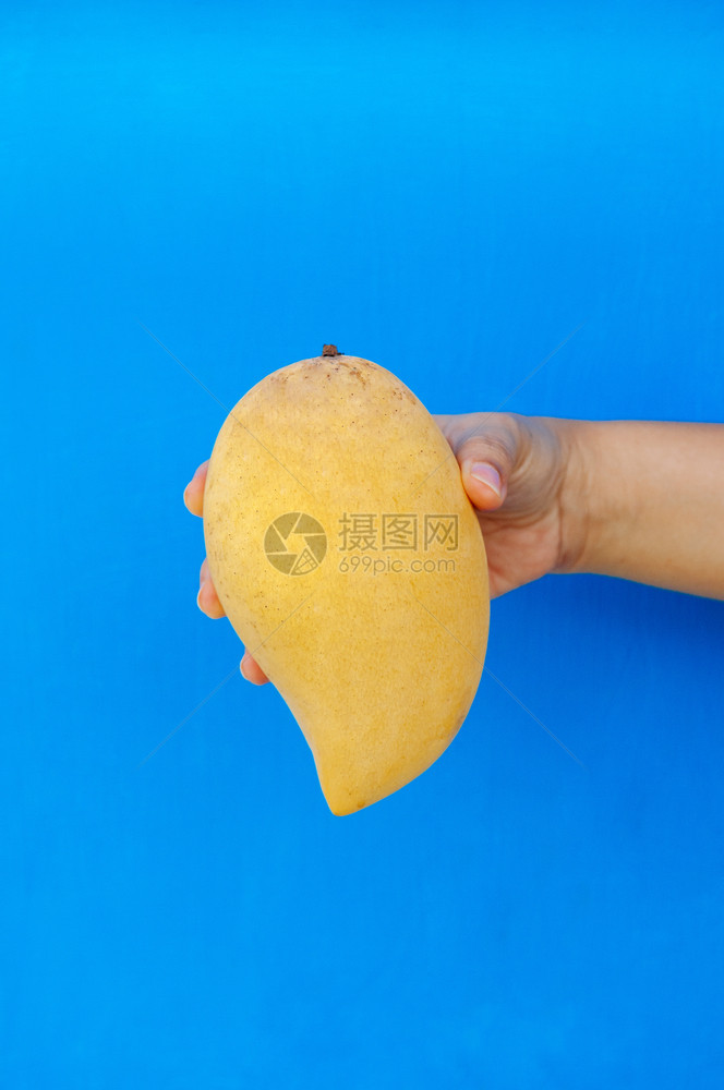 手握黄芒果的女子手握着黄芒果在明蓝背景下与世隔绝图片