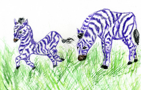斑马卡通手画漫可爱动物紫斑马水彩画背景