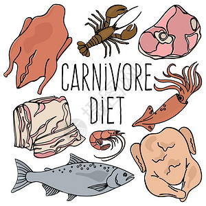 有机猪肉有机健康食物插画