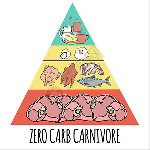 金字塔型示意图食肉动物金字塔型有机健康食插画