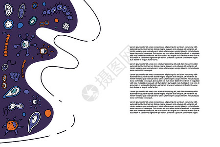 科学营养带有不同微晶体细胞的横向线卡片小册子插画