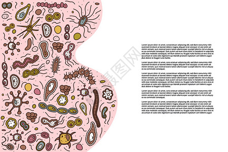 微晶换肤带有不同微晶体细胞的横向线卡片小册子插画