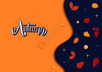 秋季模板手写字母装饰叶子季节设计元素矢量图解图片
