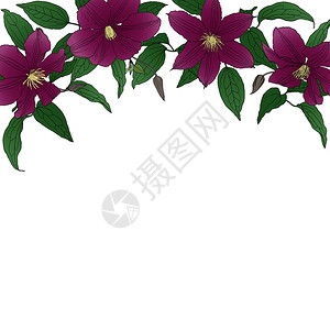 浪漫紫色花朵请柬设计框矢量背景图片