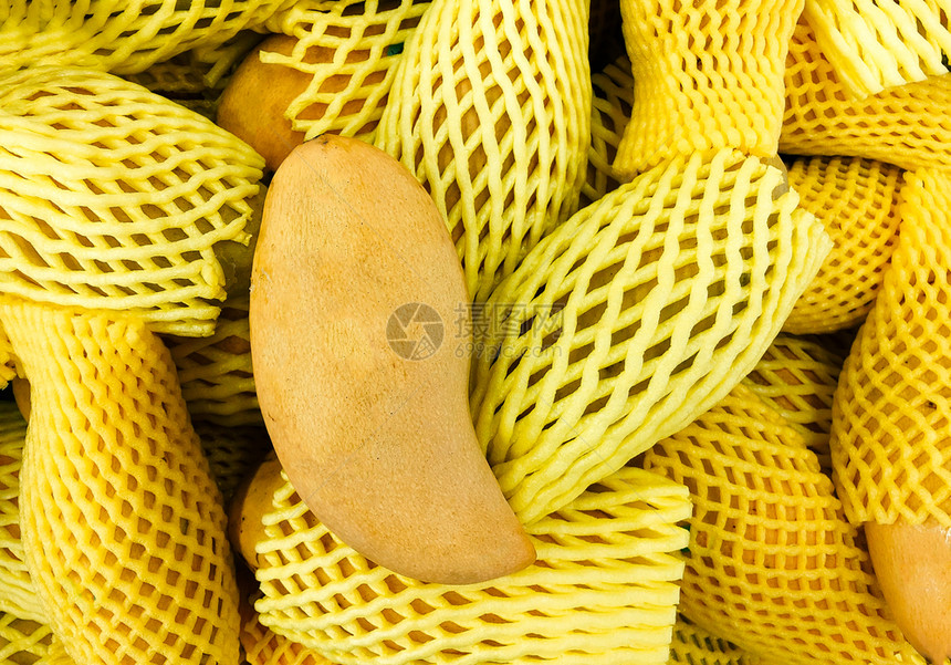 在泡沫网状包装中的芒果堆上挂着黄新鲜热带芒果图片
