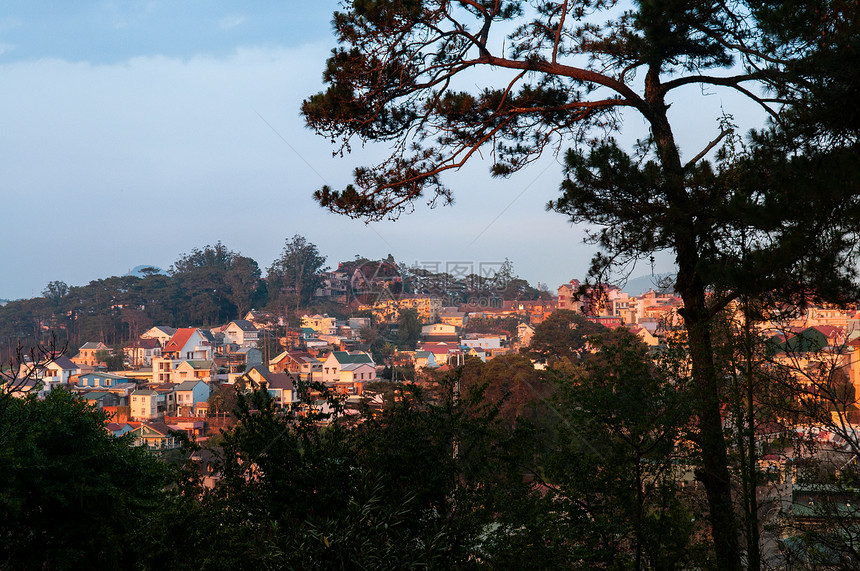 dalt市林区山丘上的住宅楼在夜光下著名的vietnam高地区图片