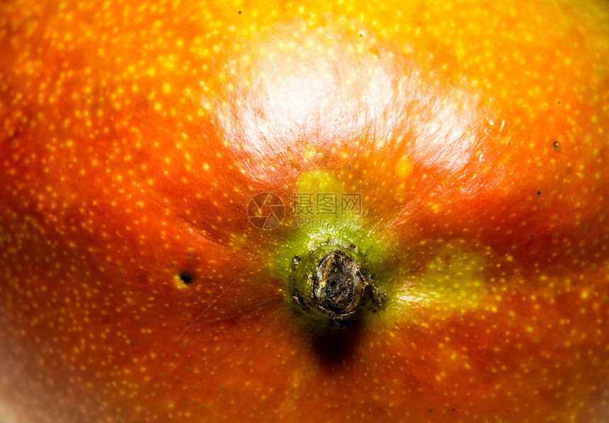 芒果热带多汁的实图片