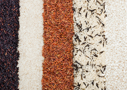 新鲜的有机黑牙和红米长的粮食巴斯马提和野稻健康的食物图片