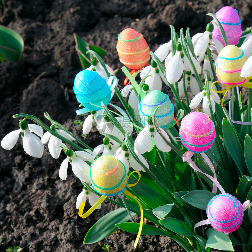 春季背景的雪白花和装饰鸡蛋东方成分图片