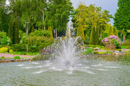 梅日希里亚库伊夫附近的mezhyira住宅的美丽喷泉背景