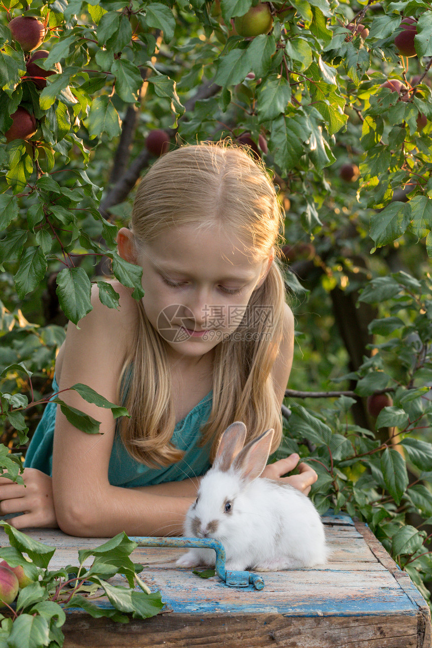 美丽的小女孩手握着花园的白兔图片