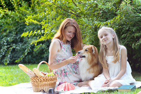 妈女儿和狗在野餐上合唱团背景图片