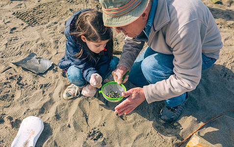 爷爷和孙女志愿者在海滩上拾取微塑料图片