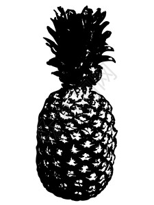 黑白菠萝矢量元素图片