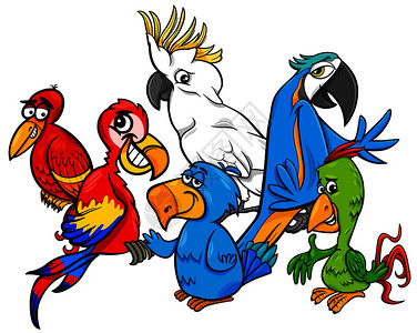 色彩多的鹦鹉鸟类动物字符群的漫画插图背景图片