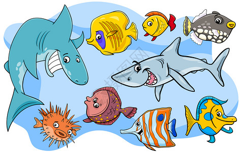 鱼类海洋生物漫画插图背景图片