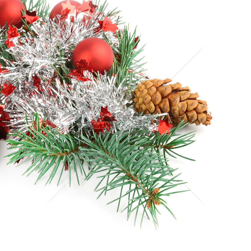 圣诞节装饰布道白色背景的fir树枝文本空闲间图片
