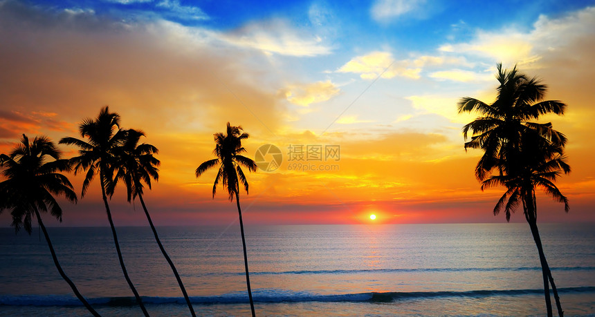 美丽的日落笼罩在海洋上天空椰子树的暗影宽阔照片图片