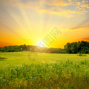 绿地和明夕的日落农村地貌图片