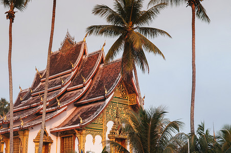 皇家棕榈琅勃拉邦老挝琅勃拉邦皇宫博物馆和horprabangtemplehall在椰子树下美丽而温暖的晨光背景