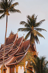 皇家棕榈琅勃拉邦老挝琅勃拉邦皇宫博物馆和horprabangtemplehall在椰子树下美丽而温暖的晨光背景