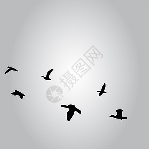 天空灰矢量中飞行鸟类的推力天空灰色中飞行鸟类的推力图片