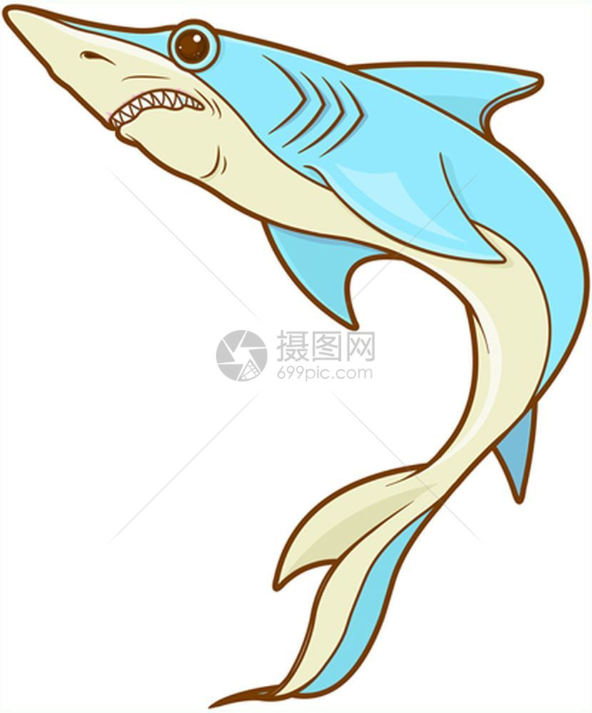 可爱蓝鲨鱼插图图片