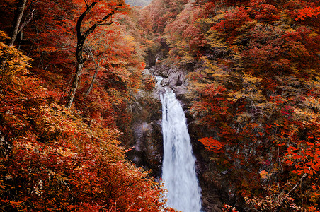 出名的阿基乌瀑布在奥森仙台日本背景