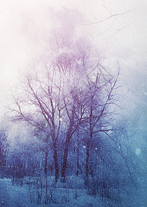 在雪瀑下公园的白冬树进行光控高清图片