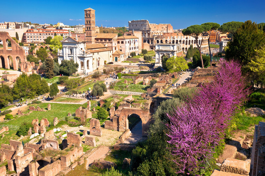 对意大利首都罗马曼论坛的废墟春季观景图片