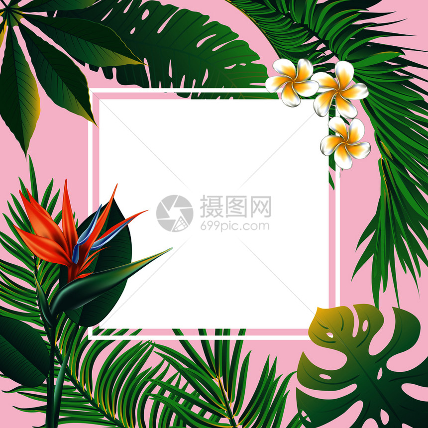 热带叶子和花朵请柬设计模板图片