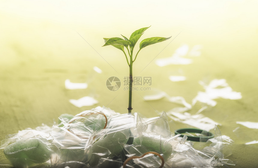 塑料污染概念在绿色背景下从一堆塑料废物中种植青绿药草废物回收管理概念图片