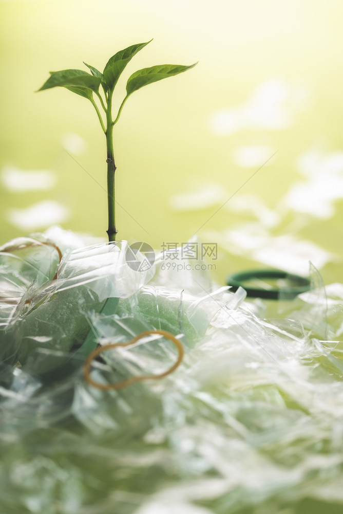 塑料污染问题概念绿色的杂草从一堆塑料垃圾中生长绿色背景图片