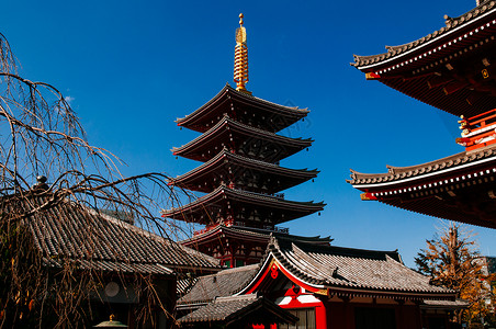 5层塔的标志地和以蓝天而闻名的东京景点japn图片
