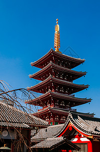 5层塔的标志地和以蓝天而闻名的东京景点japn高清图片