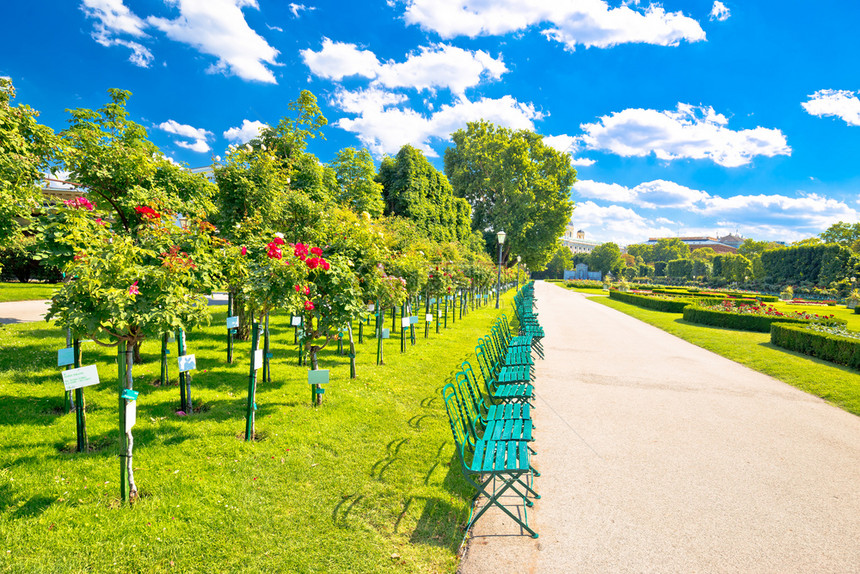 位于奥地利首都Viena公共花园景点的绿色Volksgarten公园图片